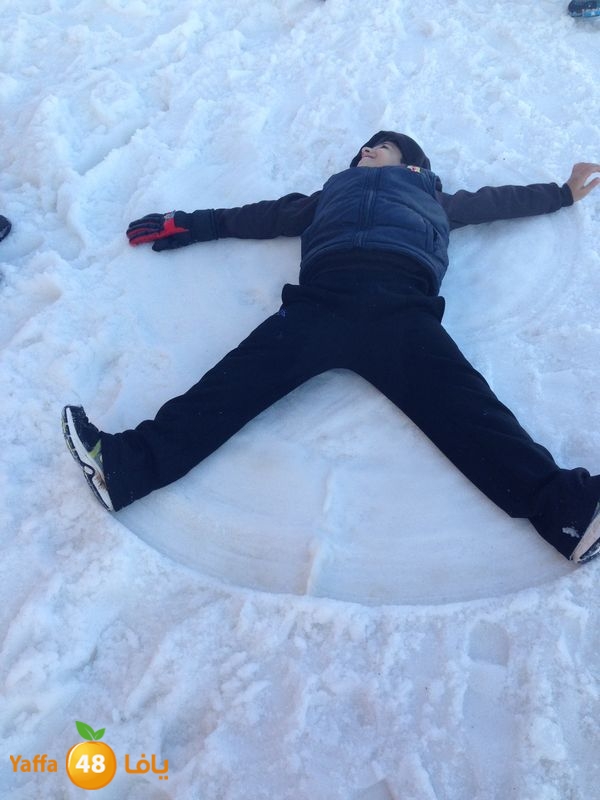 jabalelskheikhlud (28).JPG